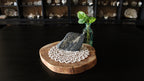 Pyrite with Shungite Statement Piece