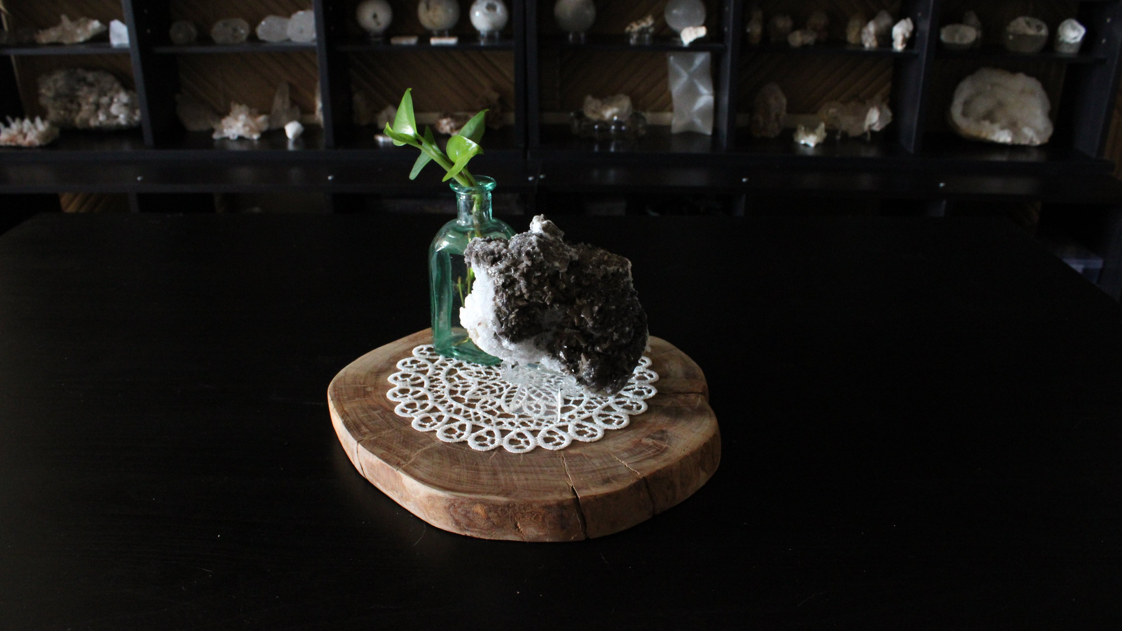 XL Statement Dog Tooth Calcite with Goethite Specimen