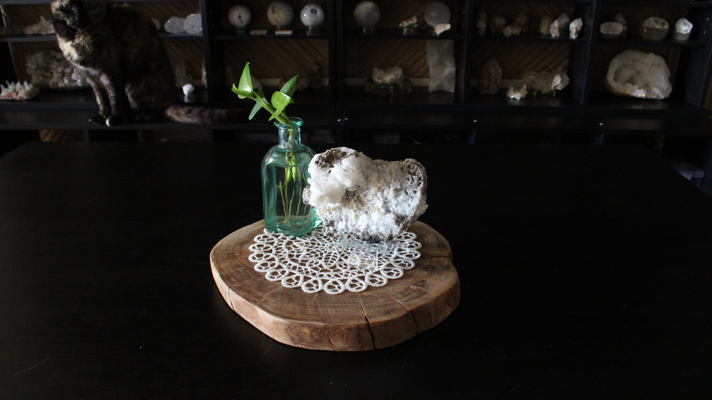 XL Statement Dog Tooth Calcite with Goethite Specimen