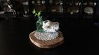 XL Statement Dog Tooth Calcite with Goethite Specimen