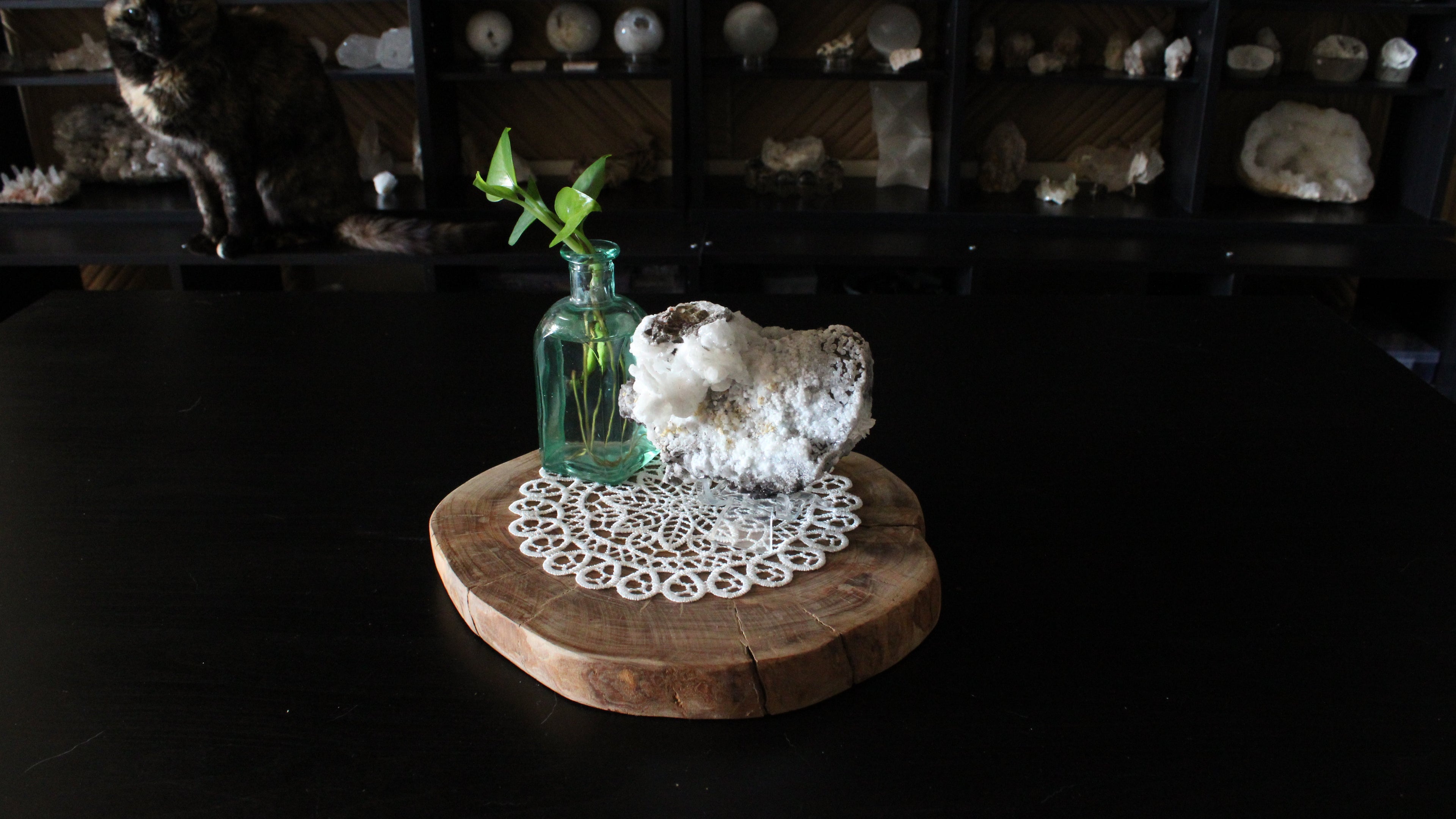 XL Statement Dog Tooth Calcite with Goethite Specimen
