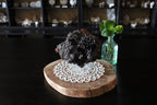 XL Goethite Raw Specimen Statement Piece