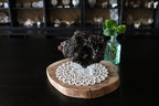 XL Goethite Raw Specimen Statement Piece