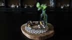 Limonite with Goethite Specimen on Calcite Matrix Cluster
