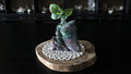 XL Ocean Jasper Fairy Carving Statement Pieces